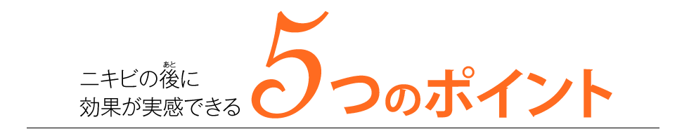 5つのポイント