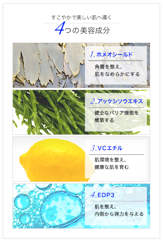 4つの美容成分 (ホメオシールド, アッケシソウエキス, VCエチル, EDP3)