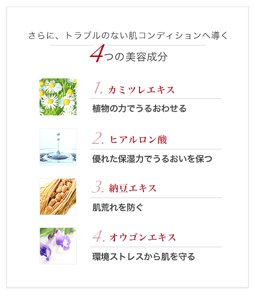 さらに、トラブルのない肌コンディションへ導く