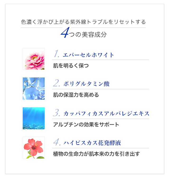 4つの美容成分