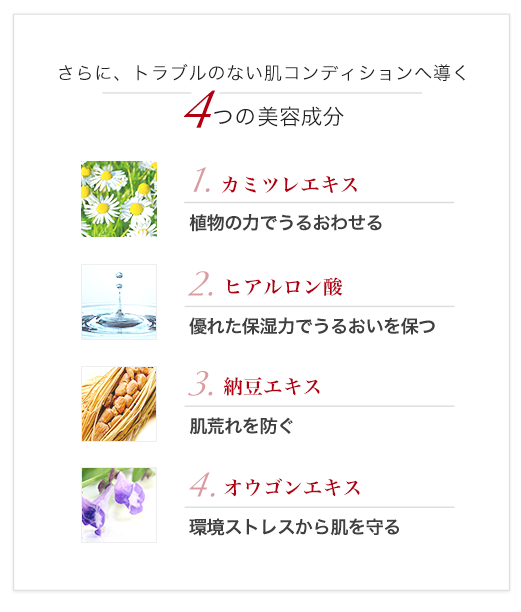 さらに、トラブルのない肌コンディションへ導く